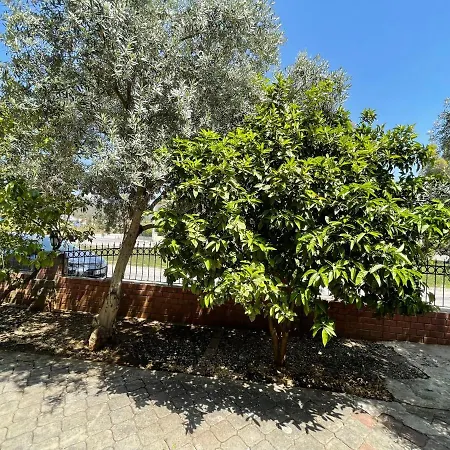 Summeryaz 4+1 Private Villa *